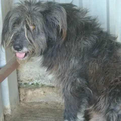 Otto photo 2