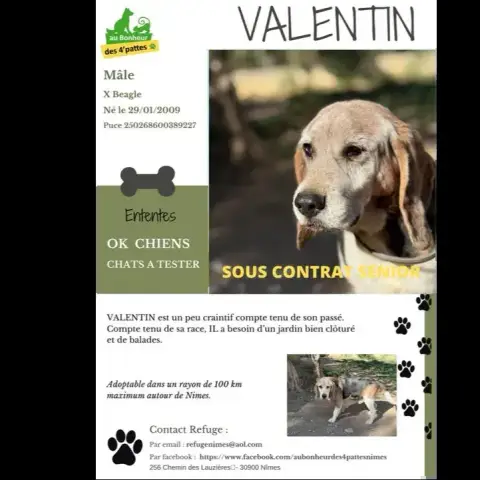 Valentin