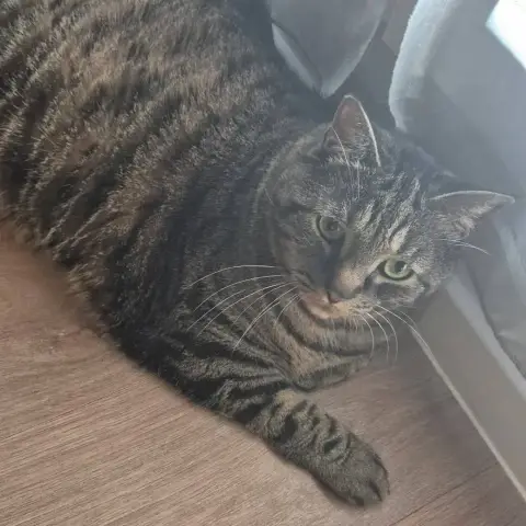 Marley