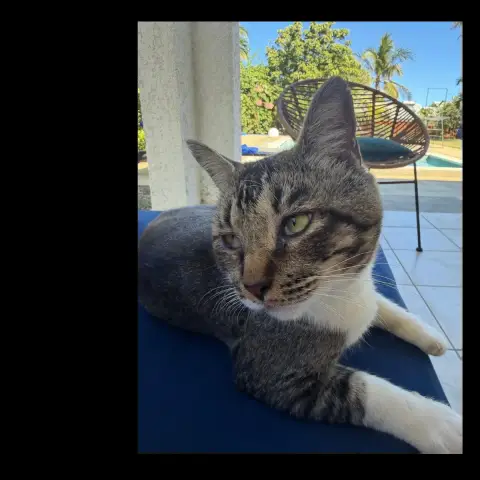 Carlos
