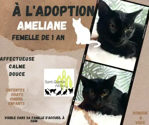 Améliane