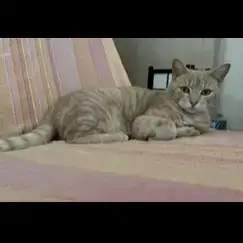 Samy photo 3
