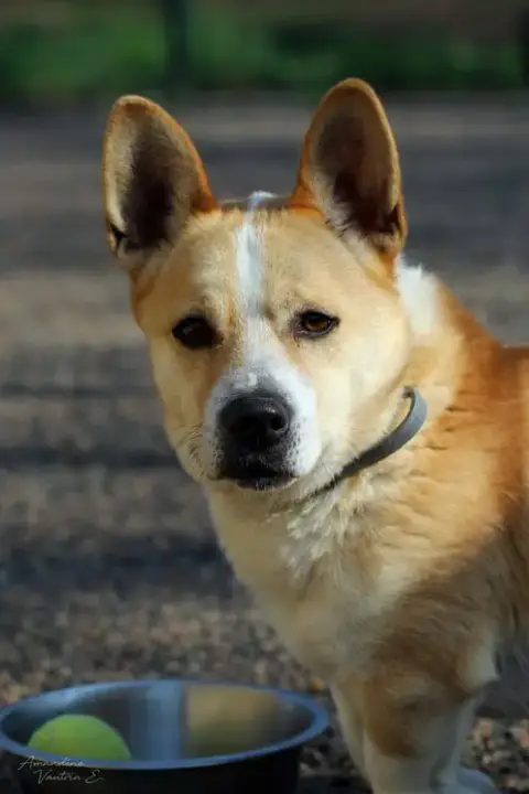 Max photo 2