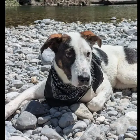 Molly