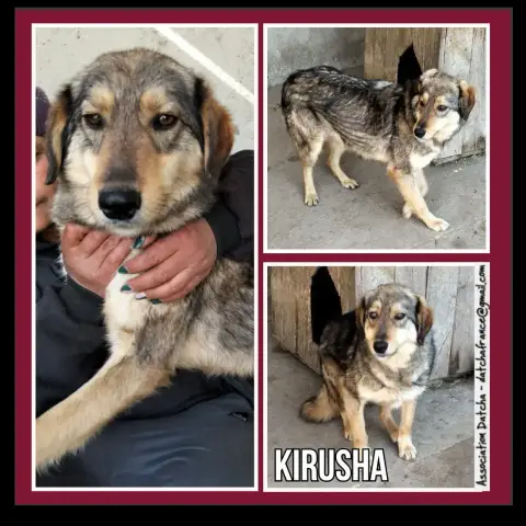 Kirusha