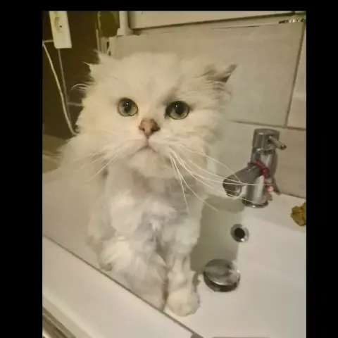 Olaf