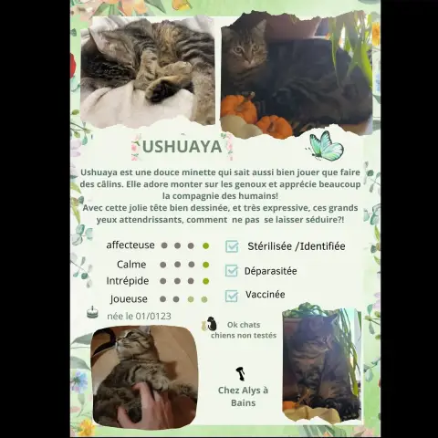 Ushuaya photo 2