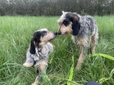 Clochette Et Claudine photo 2