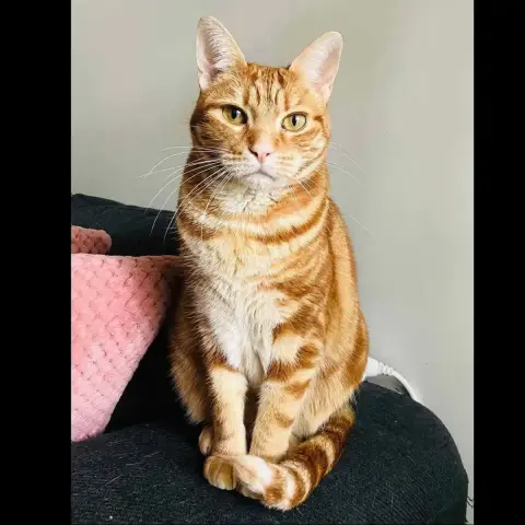Freyja photo 2