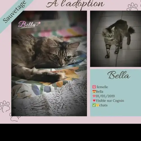 Bella