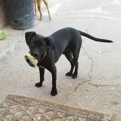 Zeus photo 3