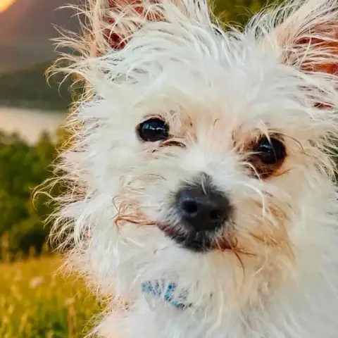 Molly,La Jolie Mini