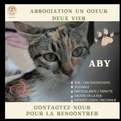 Aby