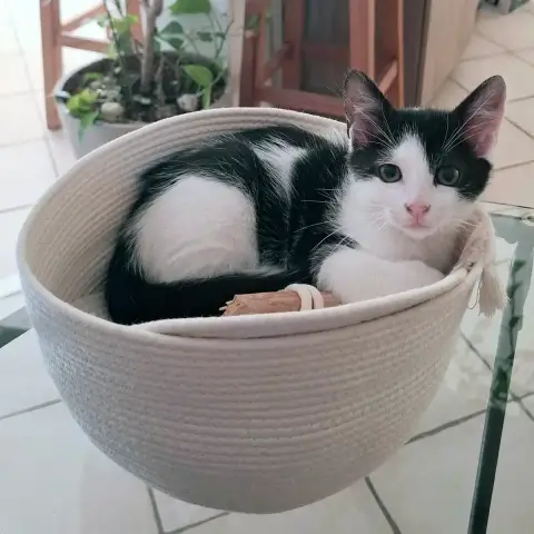 Pilou photo 2