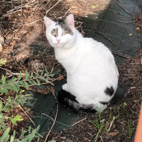 Kiki photo 2