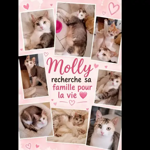 Molly