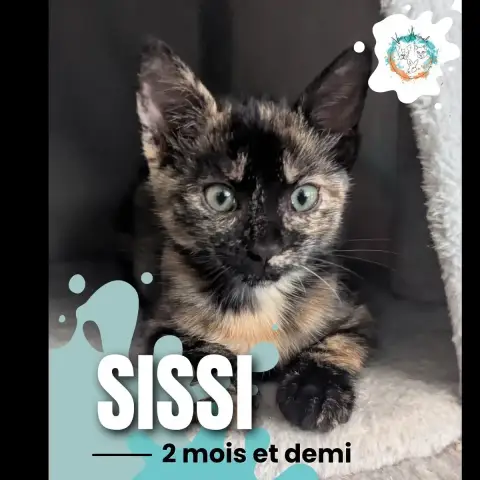Sissi