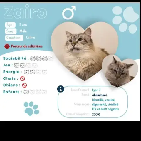 Zairo