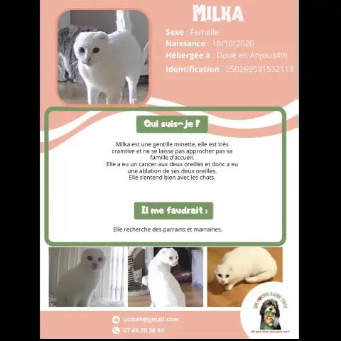 Milka
