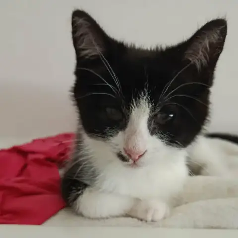 Lili photo 2