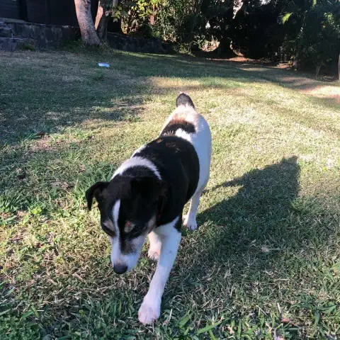 Kuzco photo 3