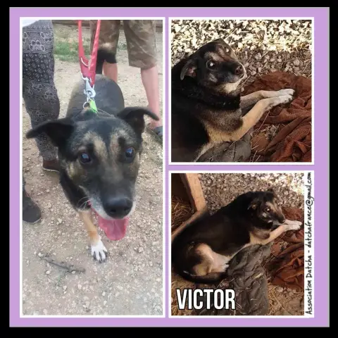 Victor