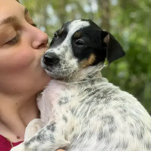 Sila photo 2