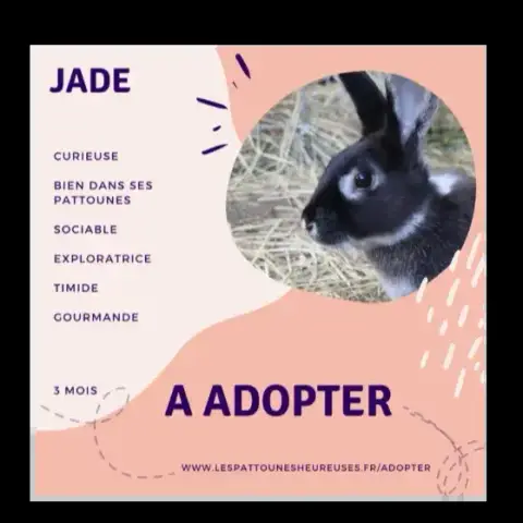 Jade