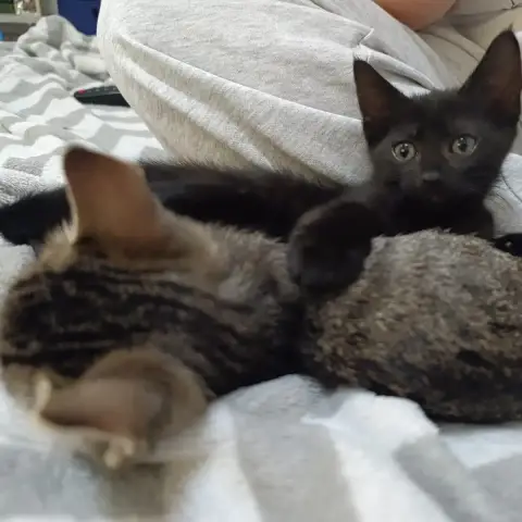 Luna Et Gaïa photo 3
