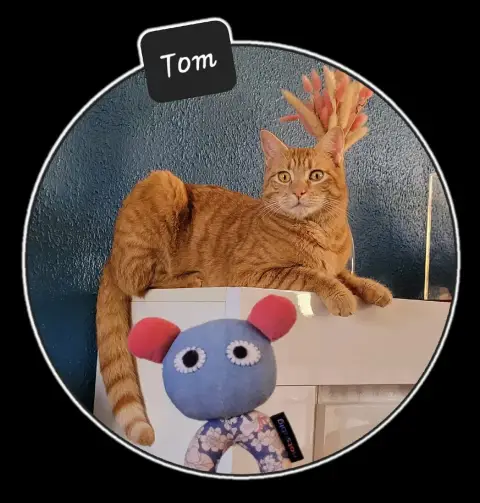 Tom