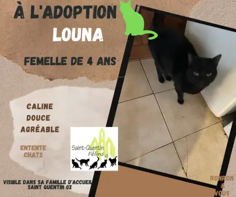 Louna