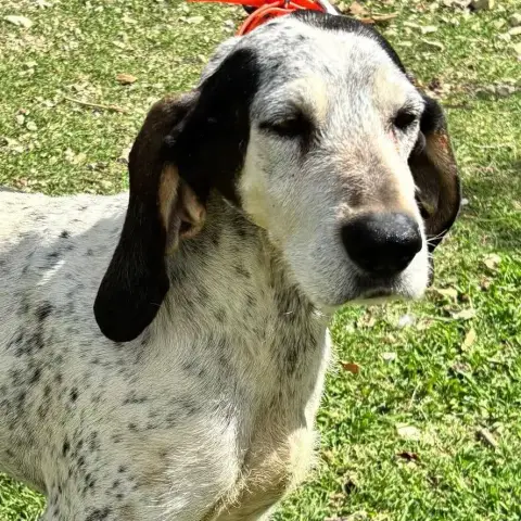 Poupée photo 2