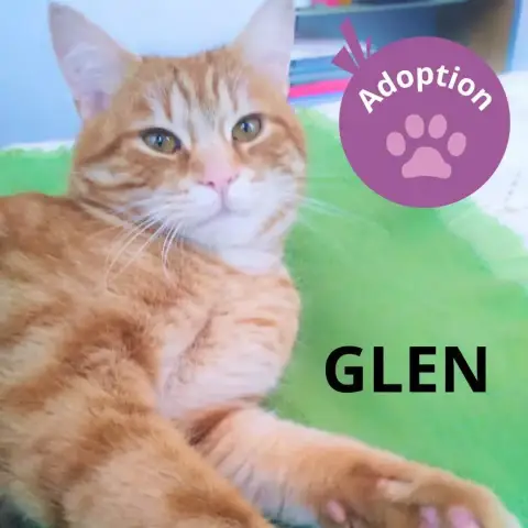 Glen