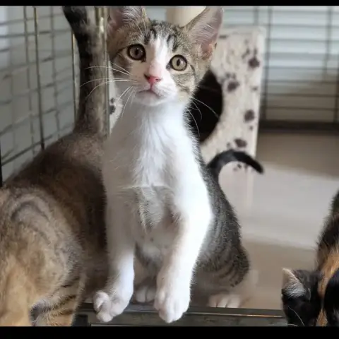 Benny