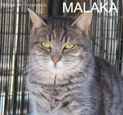 Malaka
