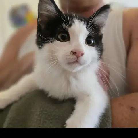 Freya
