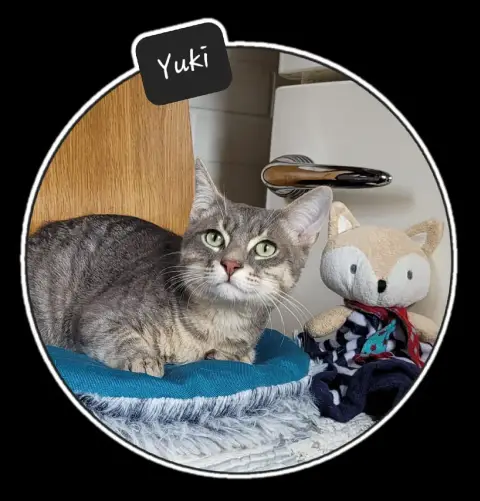 Yuki