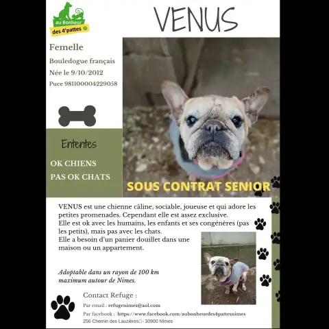 Venus