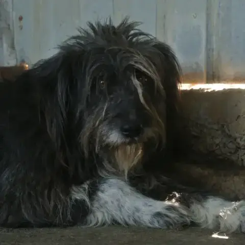 Otto photo 3