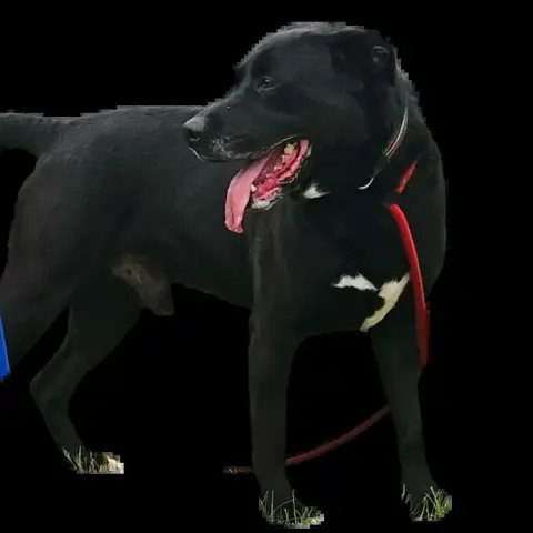 Booba