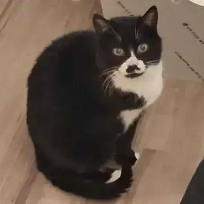 Pépère