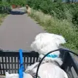 Looping photo 2