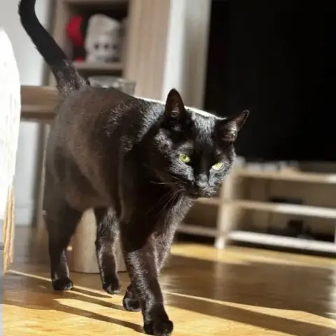 Roger