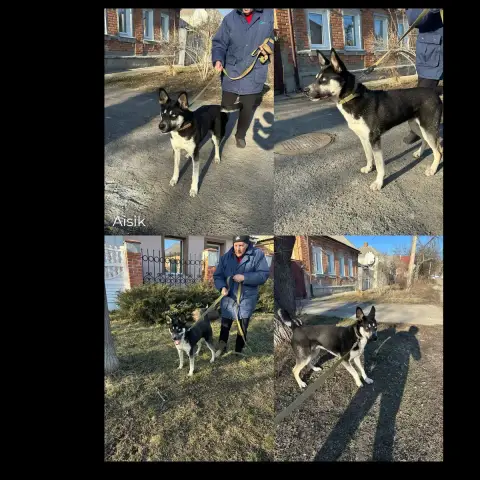 Aisik