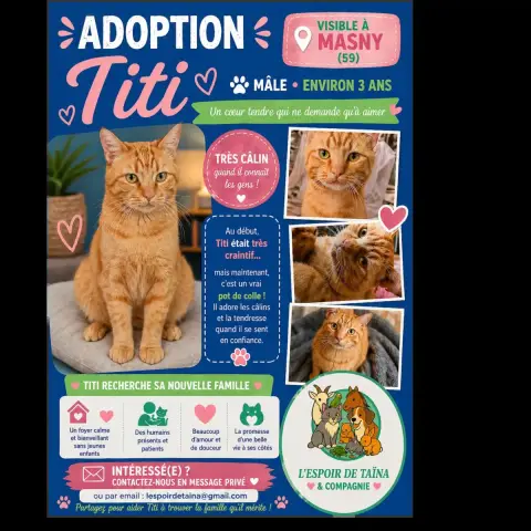 Titi