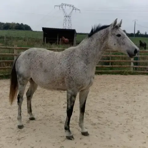 Eden