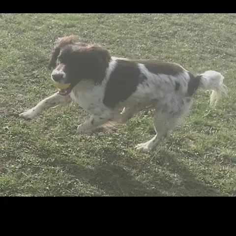 Huxley photo 2