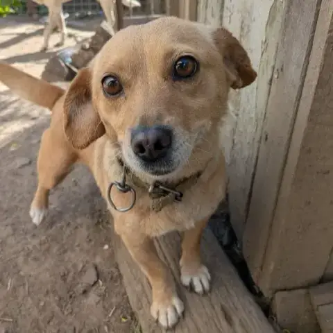 Winnie