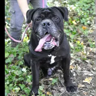Paco photo 3