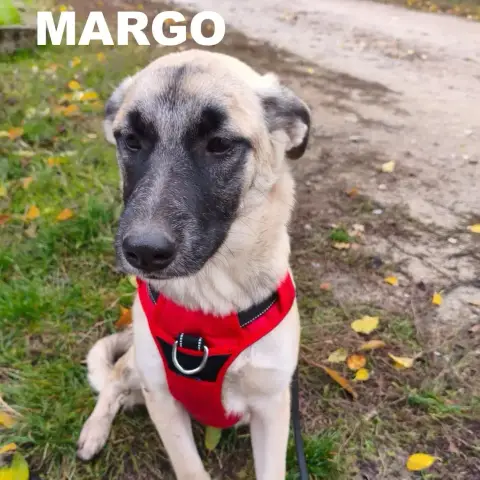 Margo photo 2
